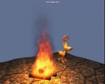 Physically Based Simulation and Visualization of Fire in Rea