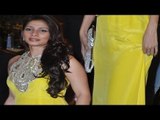 Sexy Tanisha Mukherjee Looking Hot In Yellow Dress @ Filmfare Awards