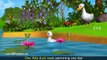 Five Little Ducks Went Out One Day   3D Animation Five Little Ducks Nursery Rhyme for children