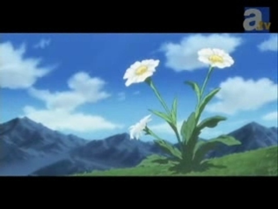 Tales Of Symphonia amv
