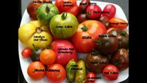 Best Heirloom Tomatoes