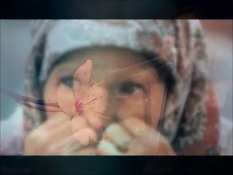 Sevda Nalan Gül - SEVDA N. GÜL Kar mı Yağmış Yüce Dağlar Başına