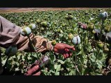 How Afghan Opium Caused 9/11