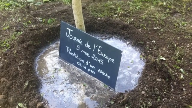Un arbre de la paix au Mémorial des déportés