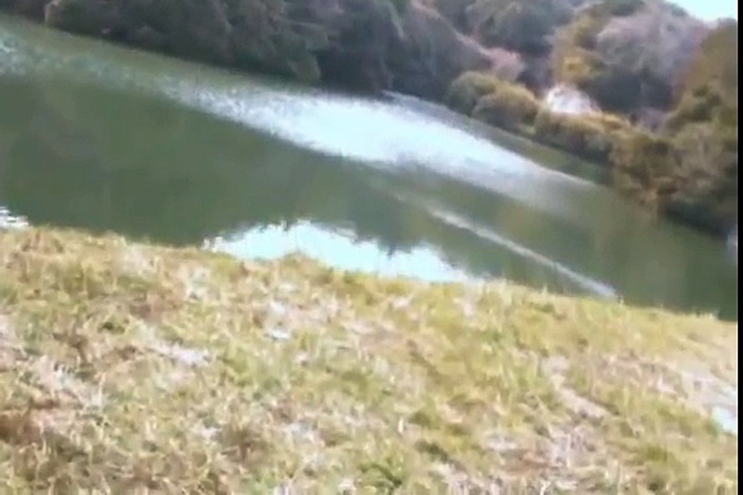 散弾銃　鴨猟　まとめ２