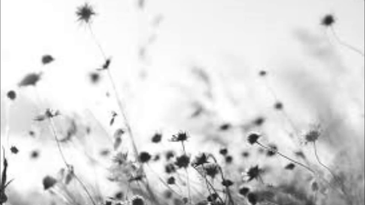 Jännerwein-Schweigen