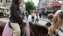 VIDEO. Le cheval fait sa promotion dans le centre ville de Poitiers