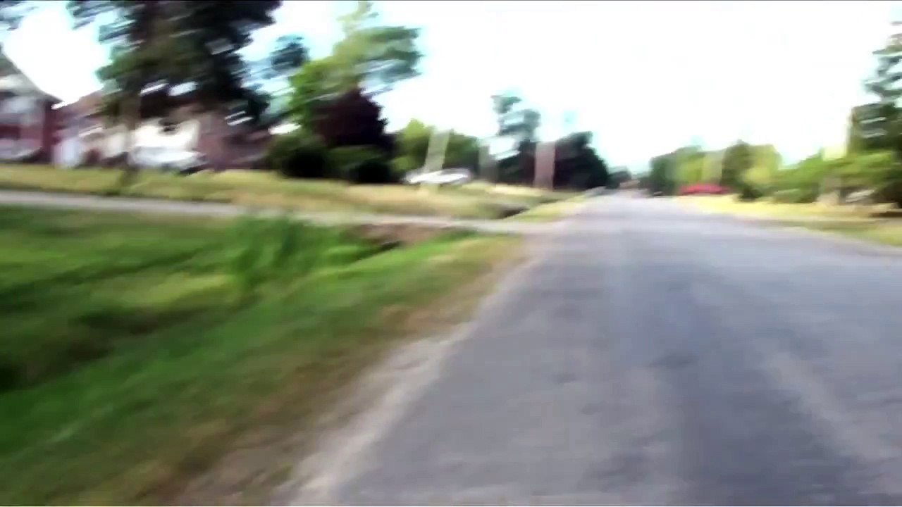 Dog Race- Doberman vs. Presa Canario + Long Board