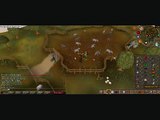 Why runescape botting is bad
