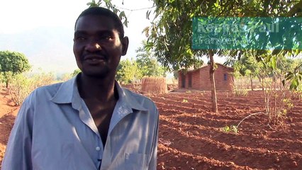 Composting latrines in Malawi