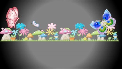 Cachorros Lenka & Hada juntos  9-05-15