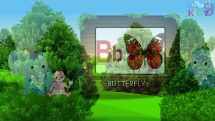 ഇംഗ്ലീഷ് ഭാഷ വ്യഞ്ജനങ്ങളേയും