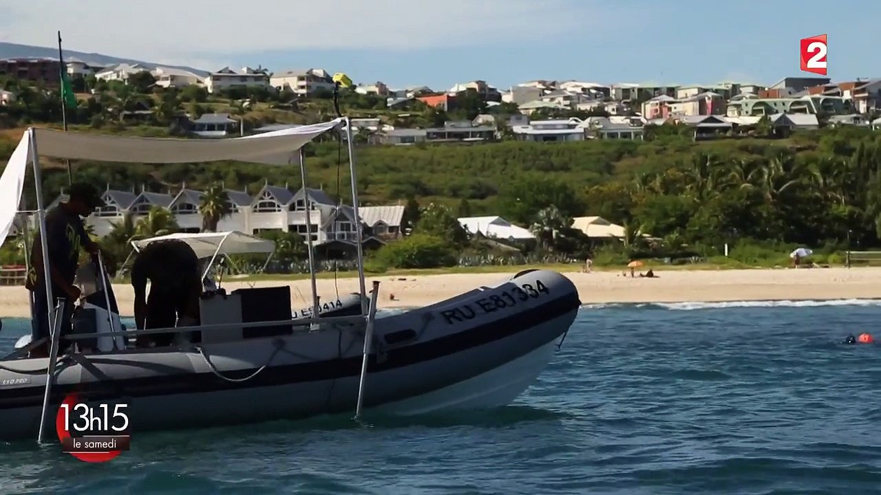 Requins : "On évacue un spot de surf en moins de trente secondes !"