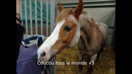 ~Ouverture d'une FAQ [FERMÉE]~