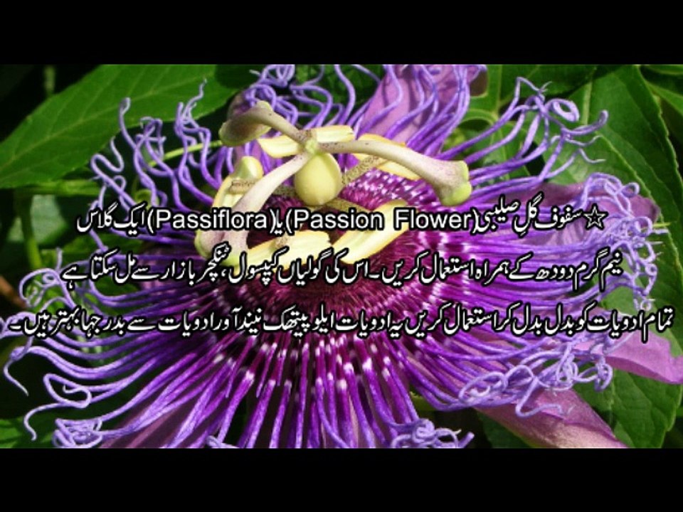 Be khawabi Ka Ilaj Dr.na Mazhar (Dr of alternative medicine)