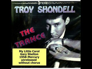 Troy Shondell - Class Reunion