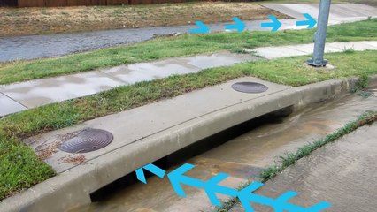 Freddy the Fish Teaches About Stormwater