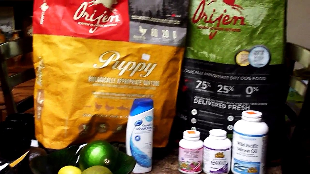 NATURAL Treatment for Demodectic Mange in Dogs...Save your Dog from Suffering !