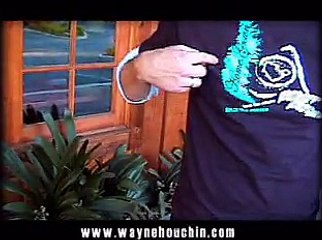 Wayne Houchin - The Invisible Palm