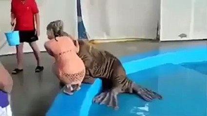 Vay sapık hayvan vay -))