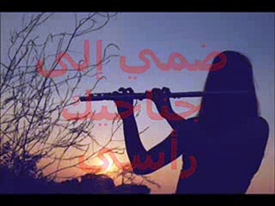 أنا والاحزان ....ابراهيم صبرا -