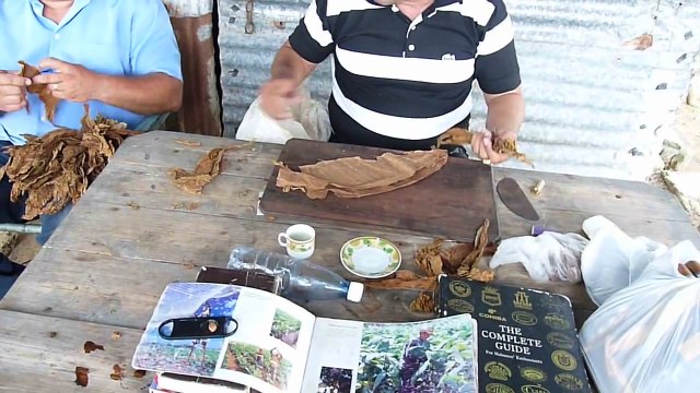 Fabrication d'un cigare à Pinar del Rio (Cuba)