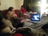 two dogs talking on Skype