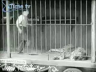 One of the Best Charlie Chaplin Clip.