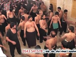 sipah e Abbas as Lahore at kamrial 24 muharam ul Haram