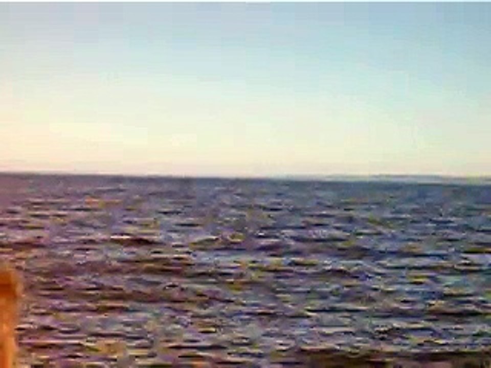 MVI_2338
