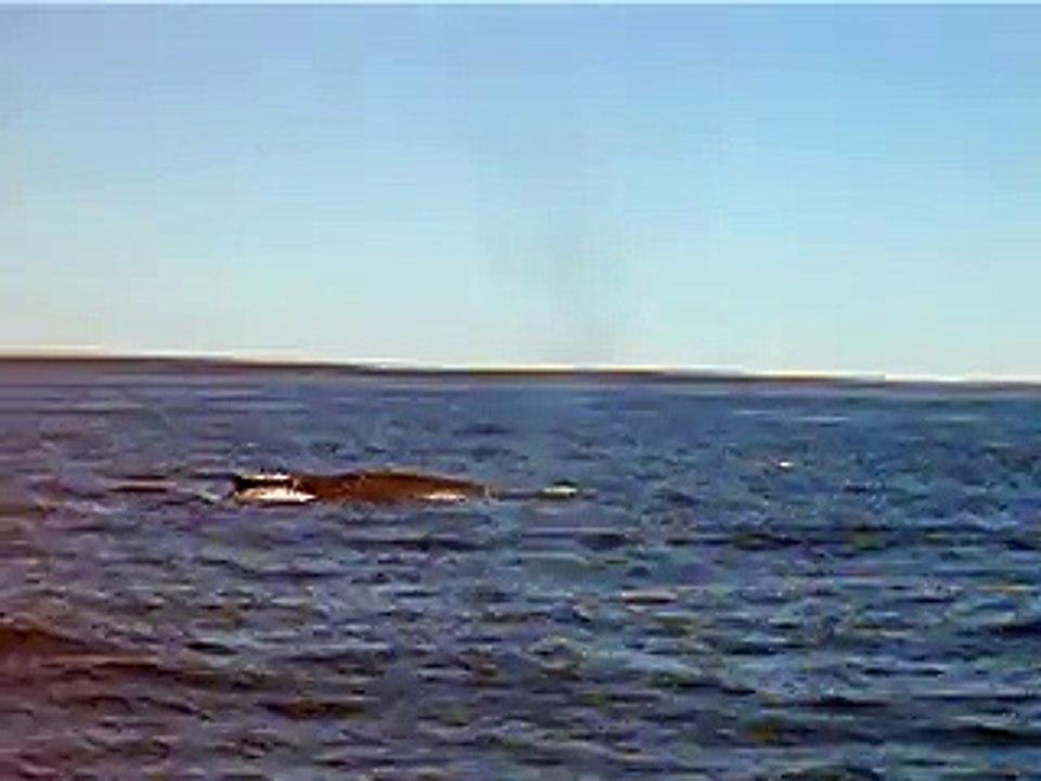 MVI_2354