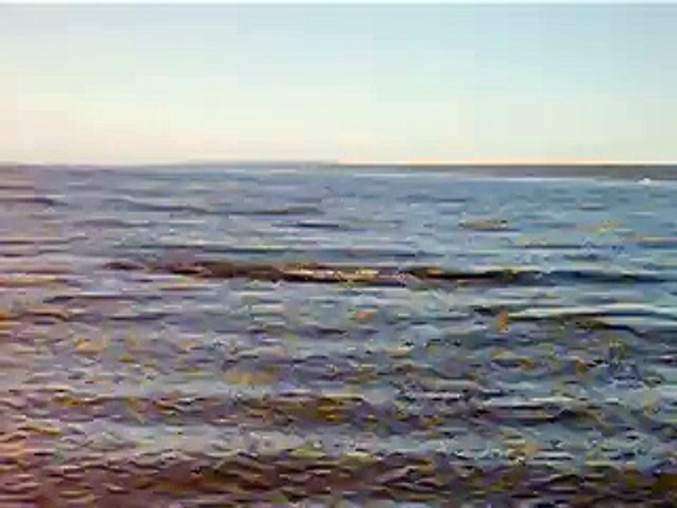 MVI_2398