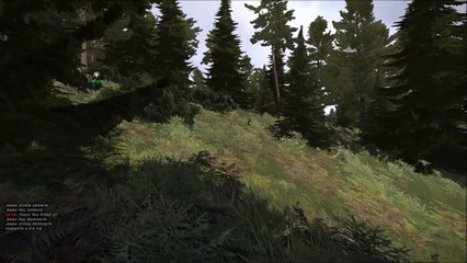 Arma3-Breaking Point-Mario et Luigi