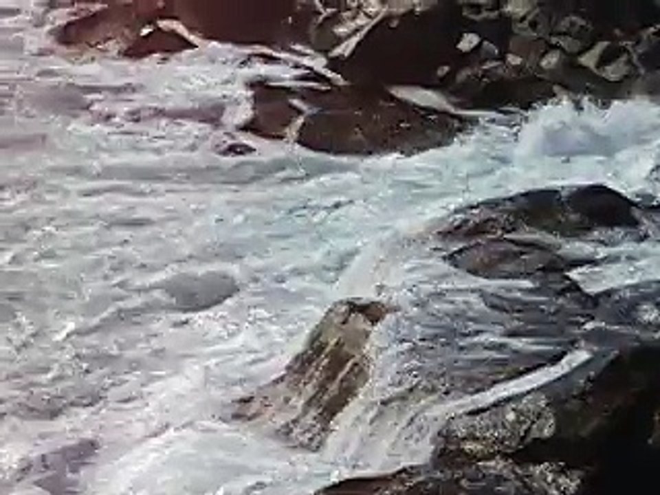MVI_2554