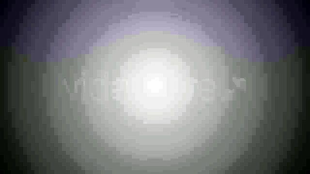 After Effects Project Files - Flower Logo Openers - VideoHive 2675841