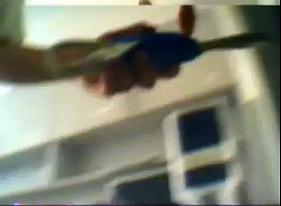 Headcam dog