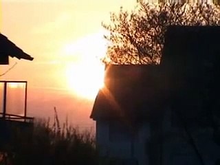 Homeslaughtering / Hausschlachtung