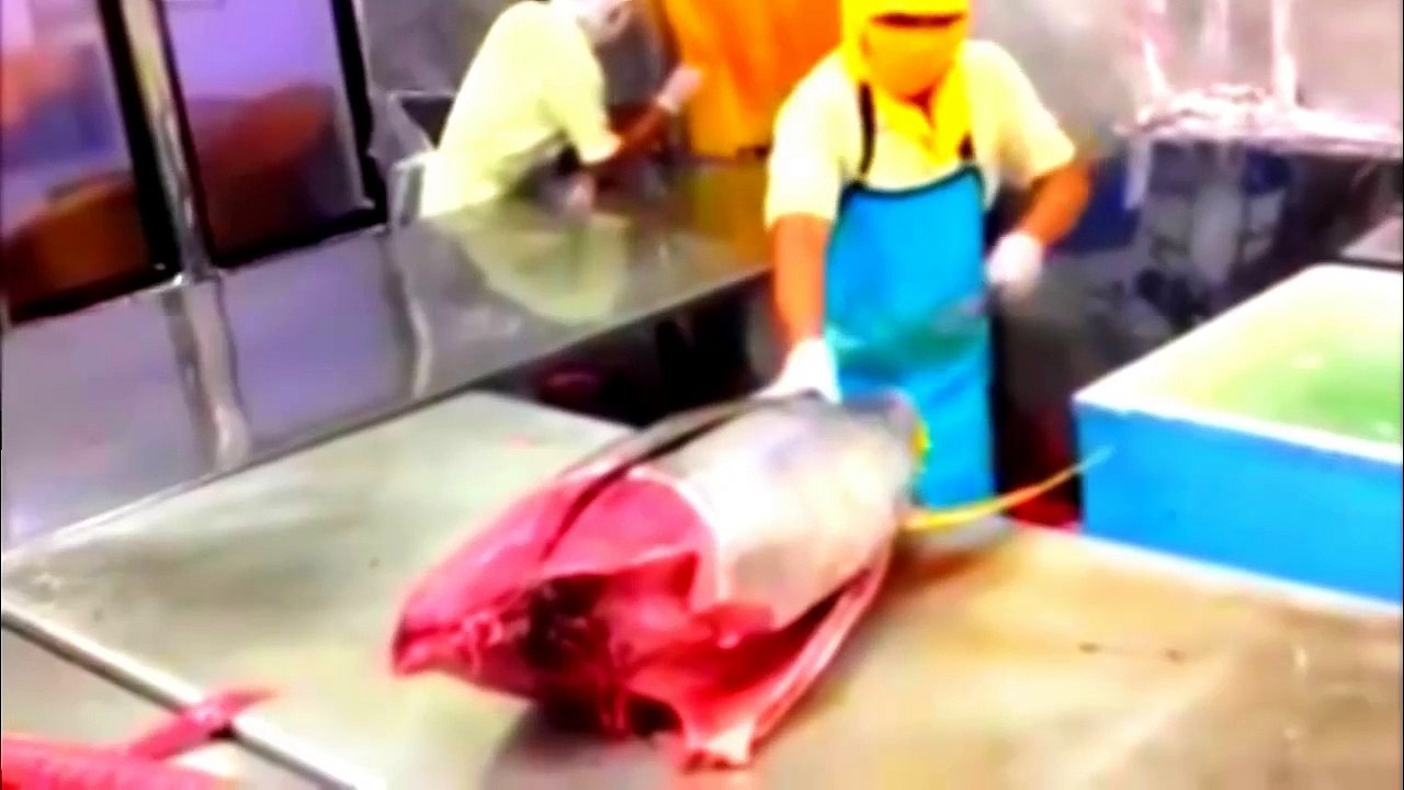 HOW AMAZING, FISH CUTTING PROCEDURE, PLEASE FOLLOW IT