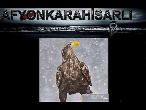 Leyla Ertaş - Beni Yakma Gel