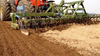 Plantation des pommes de terre 2009 (potatoes planting)