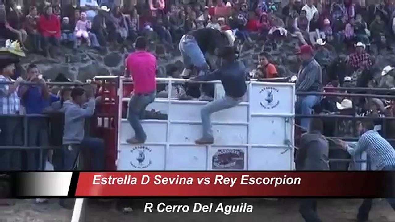 Muerte en el jaripeo la Última monta del estrella de sevina (trajedia en el jaripeo ) 2015