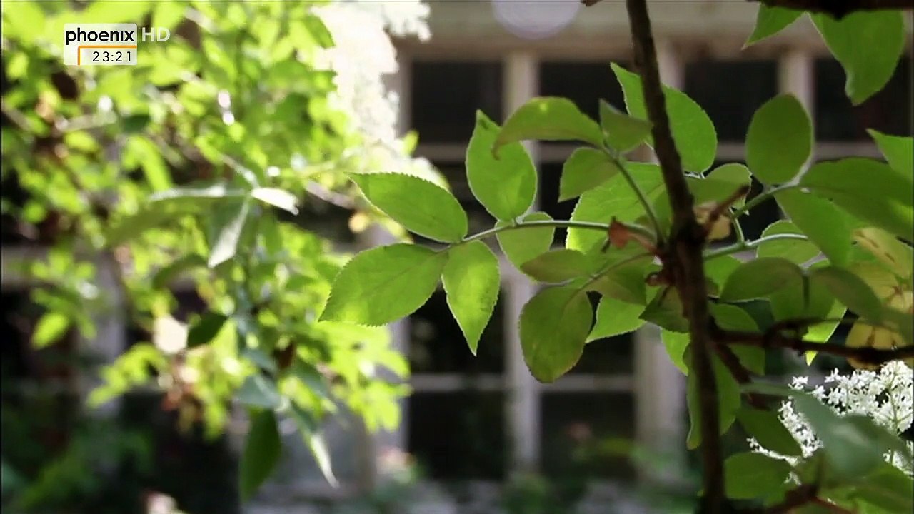 Der Amoklauf von Volkhoven - Protokoll einer Katastrophe [Doku]