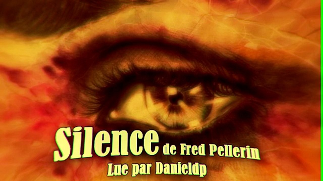 Silence-Fred Pellerin (COVER)