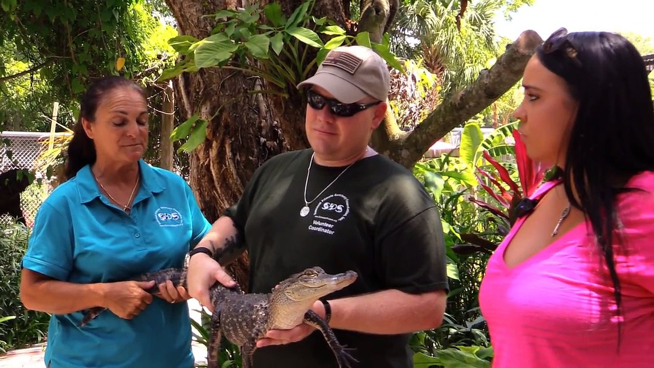 Suncoast Primate Sanctuary! Apes Monkeys & More!