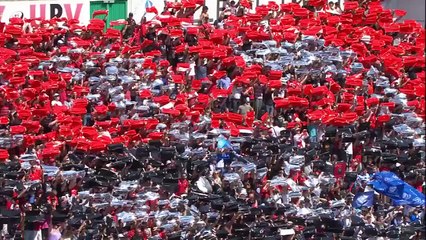 TOP14 - Toulon-Castres: 37-21 - J24 - Saison 2014/2015