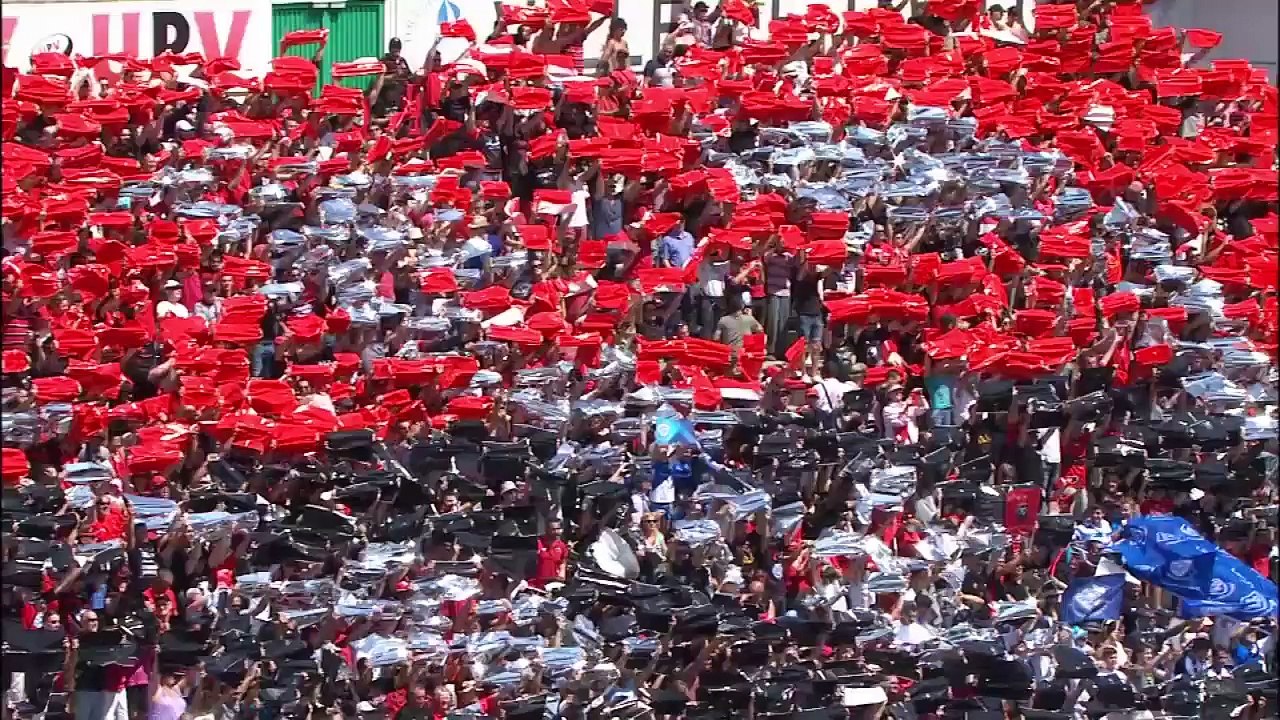 TOP14 - Toulon-Castres: 37-21 - J24 - Saison 2014/2015