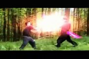 Martial arts Lightsaber duel