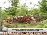 TV Patrol Tacloban - March 23, 2015