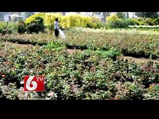 Kadiyapulanka Farmers Facing The Power cuts