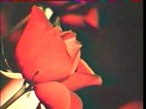 B B & S Distel La bises aux hippies